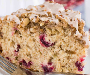 Apple-Cranberry-Coffee-Cake-15-1-1-575x575