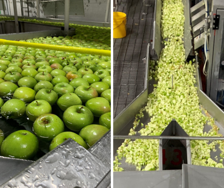 Food Safety Standards for Our Apples Crunch Pak